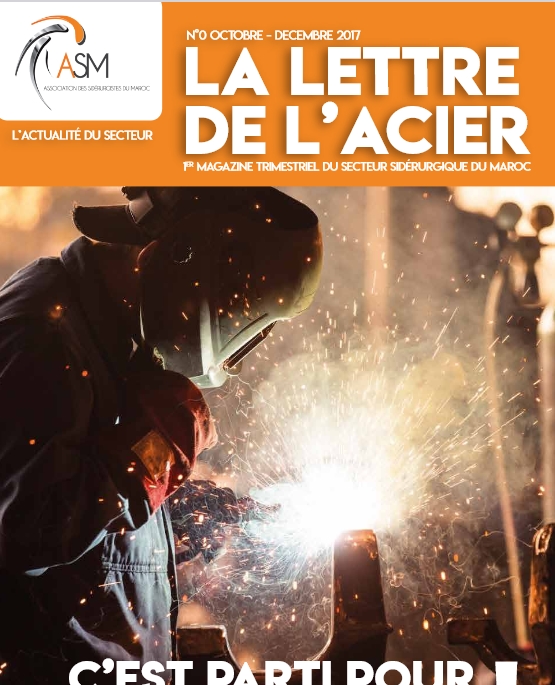 Lettre de l’acier : Décarbonation, quels enjeux pour la sidérurgie Nationale.